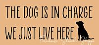 The Dog is in Charge We Just Live Here - 12"x5.5"